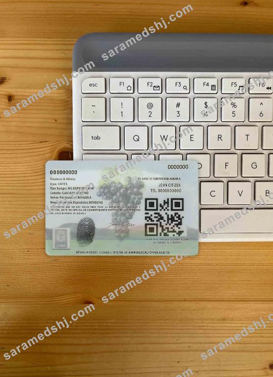 Mexico Baja California driving license photolook BACK